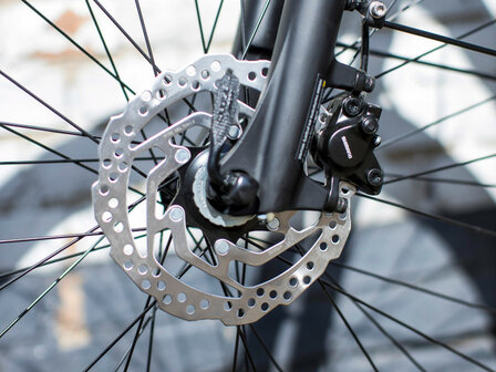 Verve+ 2 Stagger L